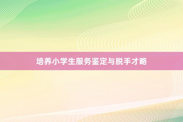 培养小学生服务鉴定与脱手才略